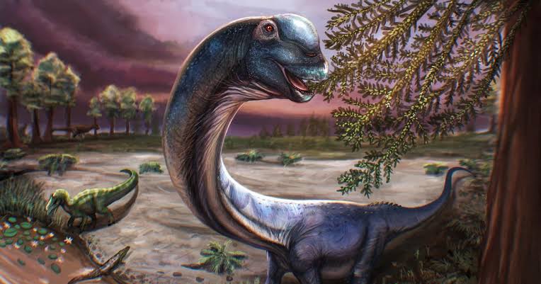 Skeletal remains of new dinosaur weighing as much as 9 elephants discovered by scientists: "The last titan"