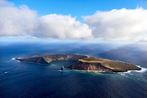 Spread of Seafloor Directly Observed for the First Time
