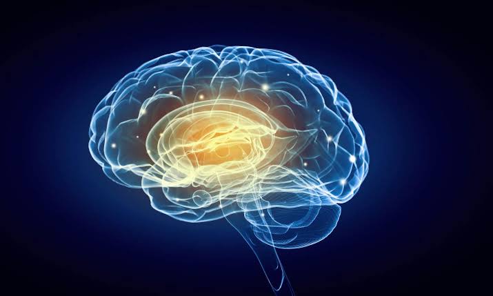 MIT study finds hidden language network in the human brain