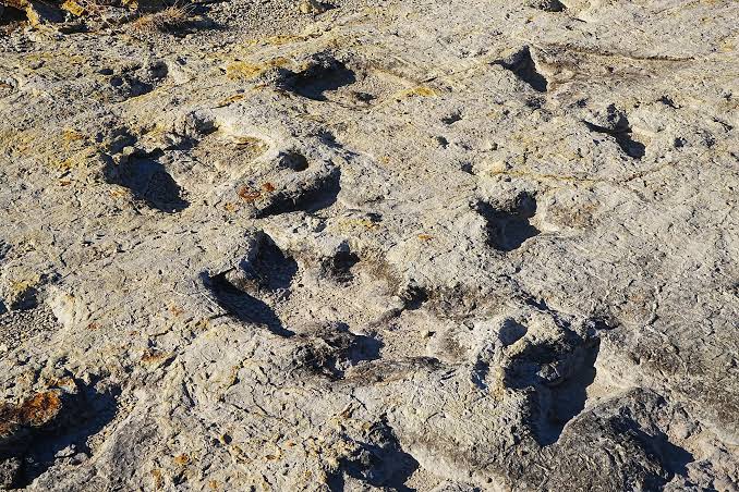 The State Parks With Dinosaur Tracks