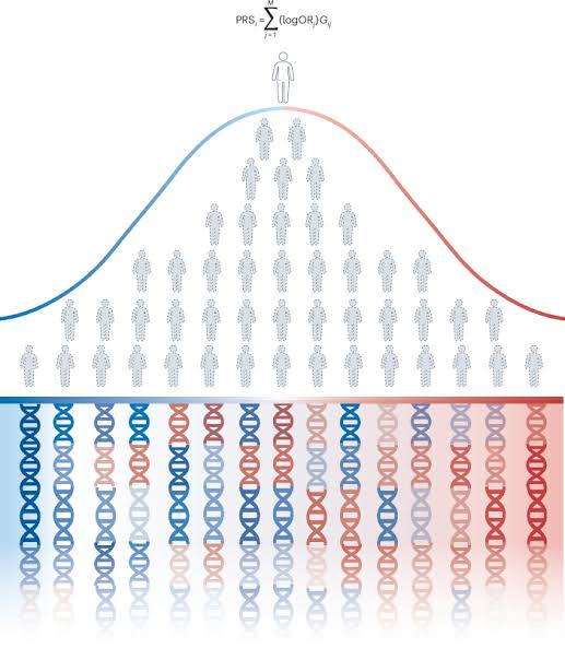 Polygenic risk scores are not genetic predispositions