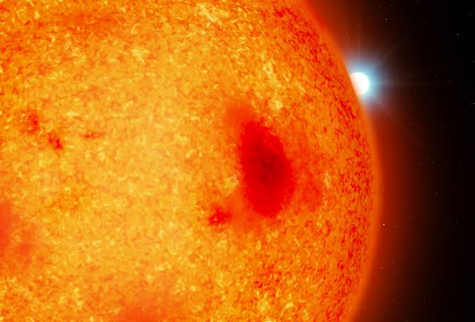 Dead stars in our cosmic backyard: Astronomers spot four white dwarfs hiding under our noses