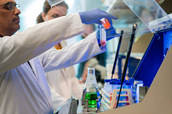 Scientists reverse brain aging, with a nasal spray
