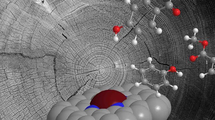 Single-atom catalyst turns lignin into valuable chemicals with near-complete conversion