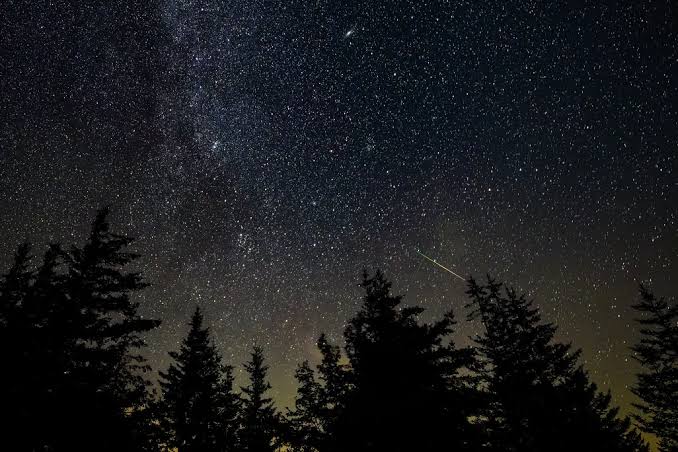 Keep an Eye Out for Two Stellar Meteor Showers Peaking This Week, the Southern Delta Aquariids and the Alpha Capricornids