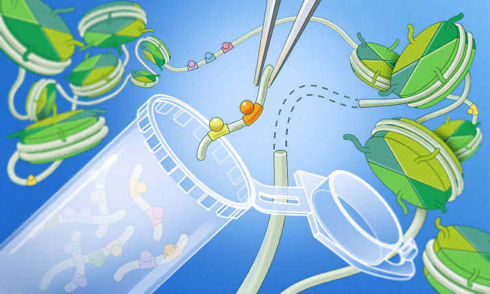 A new genetic tool helps researchers uncover the logic of gene regulation