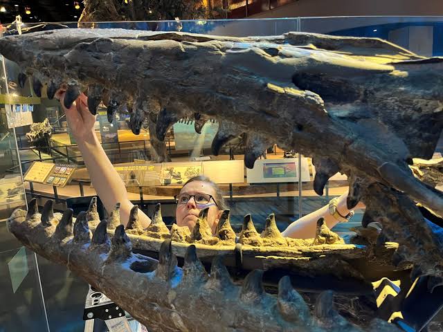 Scientists discover new marine T-rex that was twice the size of great whites and ‘meaner than any mosasaur’