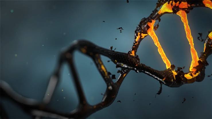 3D DNA mapping in rare immune cells reveals new genes linked with autoimmune disease risk