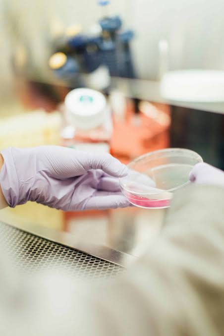 Scientists discover a state between life and death