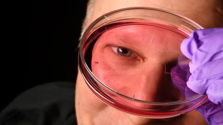 A vitamin A discovery is changing what scientists know about vision
