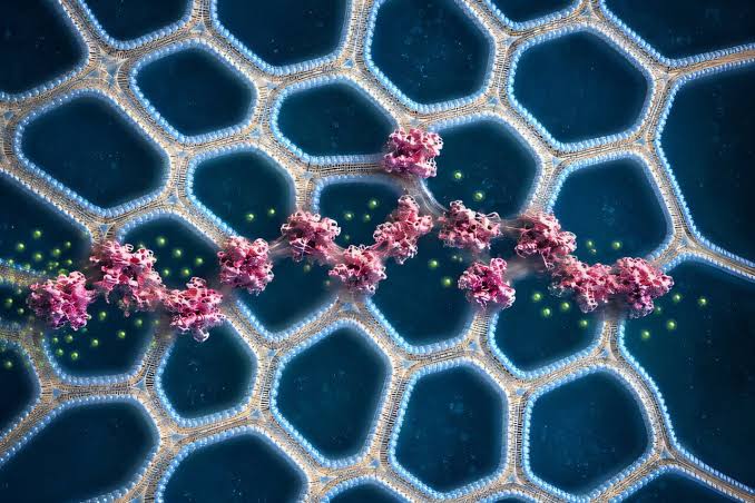 3D-printable material can heal the body, build better robots and recover critical minerals