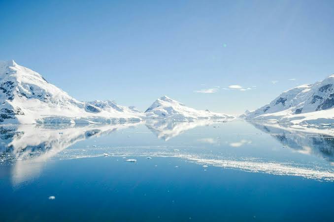The giant viruses that orchestrate life in the polar regions