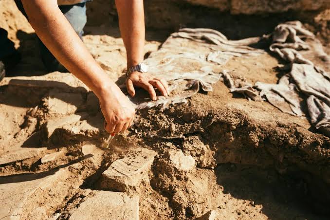 Scientists Discovered Remains of the Earliest Animals on Earth. They May Have Made a Big Mistake.