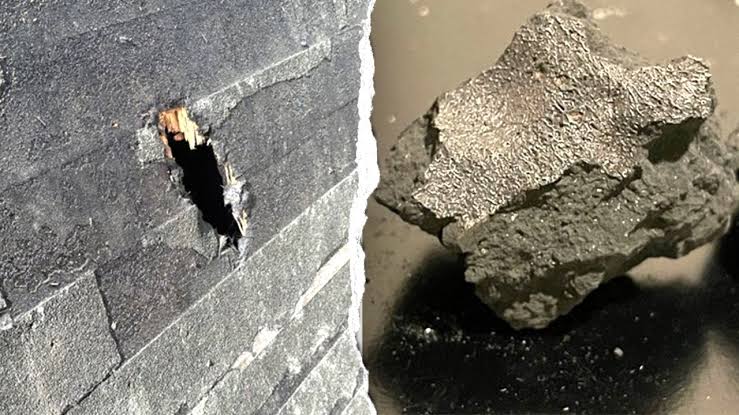 Meteorite that crashed into NJ home holds building blocks of life, scientists say