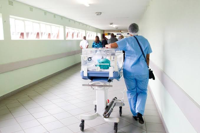 Hidden for decades, hospital superbug built resistance in waves, peaking in the mid‑2000s