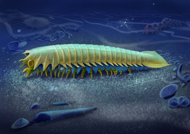 Urokodia! 518-million-year-old fossil shows beginning of spider's bite