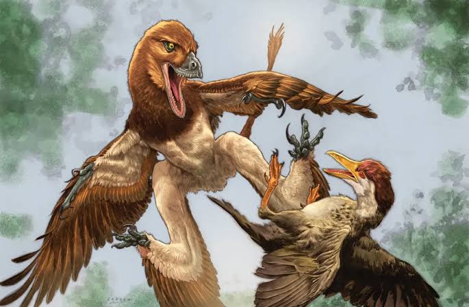New Microraptorine Dinosaur Discovered in China