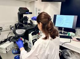 Scientists demonstrate precise embryo gene editing, warn on risks