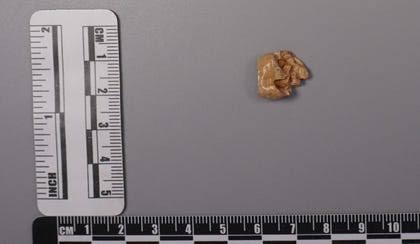 Ancient Sex: Homo Erectus Interbred With Denisovans in China 400,000 Years Ago