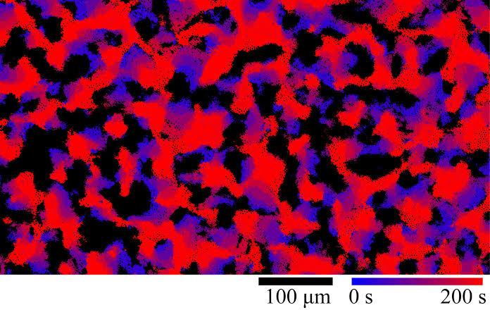 Tiny particles defy action-reaction symmetry to stay in motion