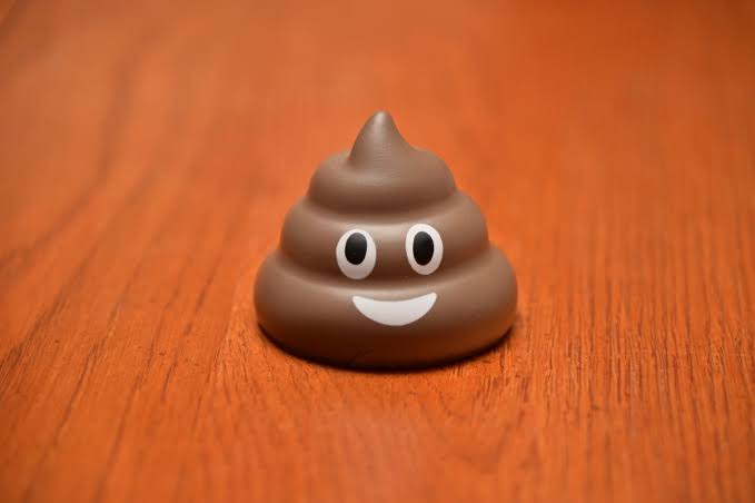 The Poop Emoji Got Gravity Right, Physicists Find