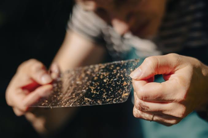 Why can’t we just get rid of mosquitoes? One fed-up community is trying