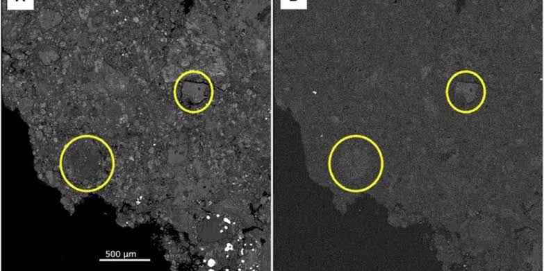 NASA finds clues to early solar system and life’s origins in pristine 2024 meteorite discovered in New Jersey