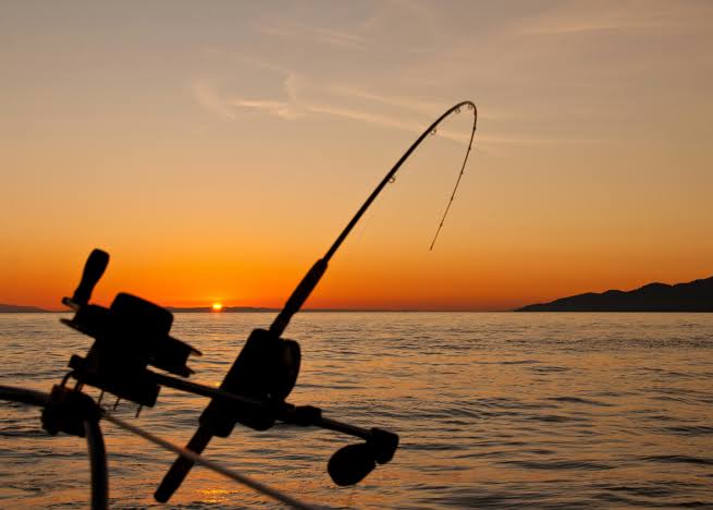 Hooking big fish in warming oceans comes with a catch