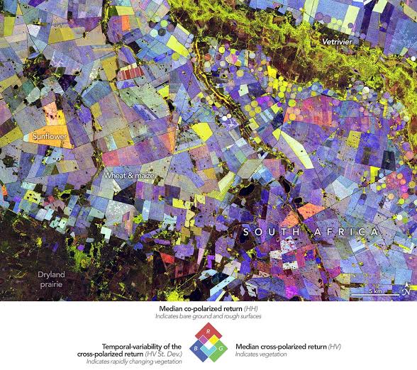 Painting the Growing Season in the Maize Triangle