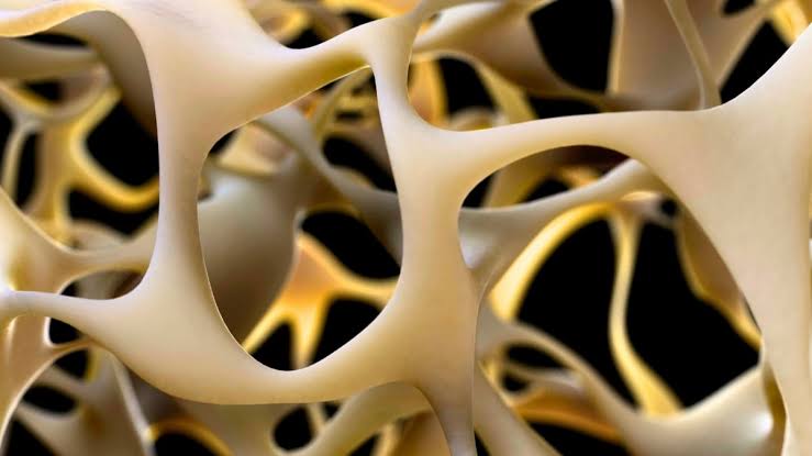 Breakthrough to Make Bones Stronger Could Reverse Osteoporosis