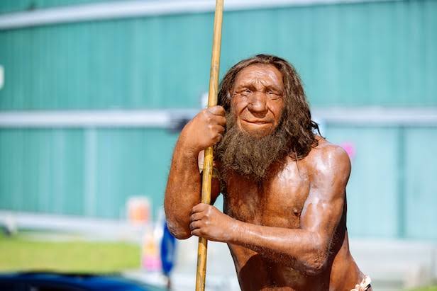 Neanderthal Gene Linked to Muscle Mass, Study Finds