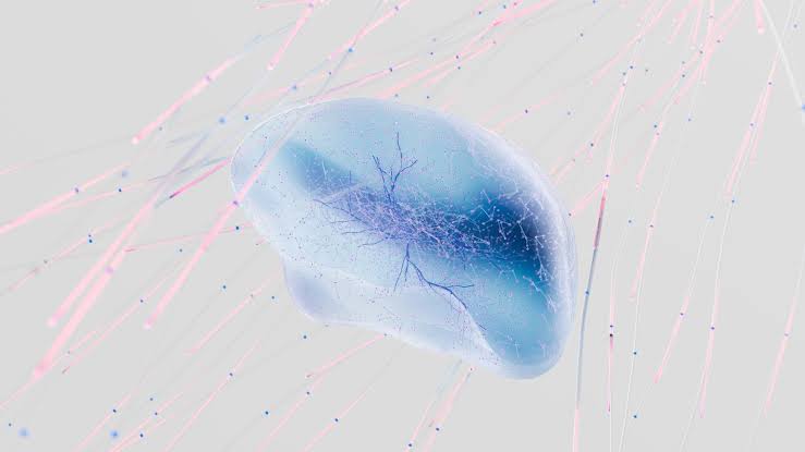 In January 2026, scientists reported that the human brain processes spoken language in a sequence that closely mirrors the layered architecture of advanced AI language models — suggesting that biological brains and artificial networks may build meaning th