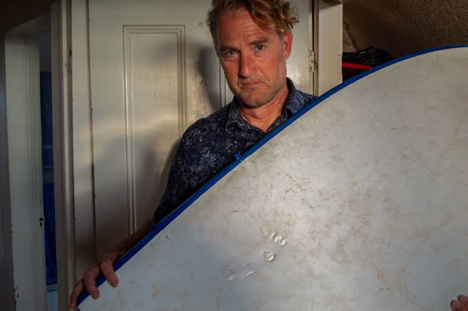 It Felt Like a Salmon: Last Weekend's Unscathed Shark Incident Survivor Says It Was Actually Kinda Cool