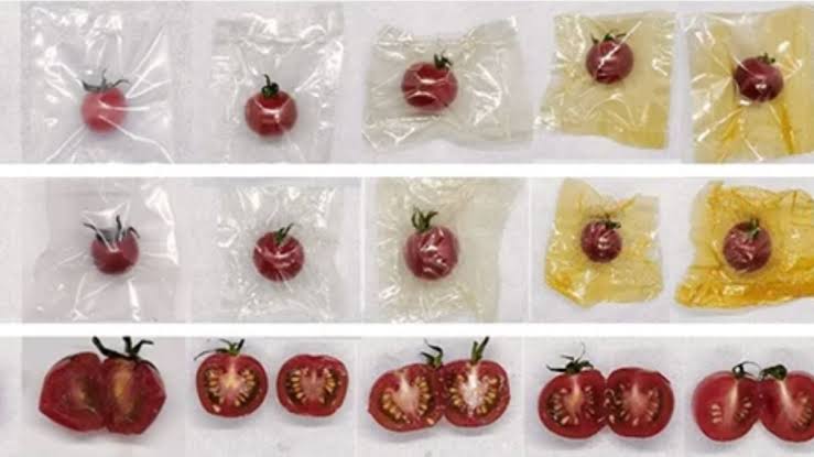 Pumpkin Peel That Would Have Been Thrown Away Outperforms Plastic Packaging in Lab Tests