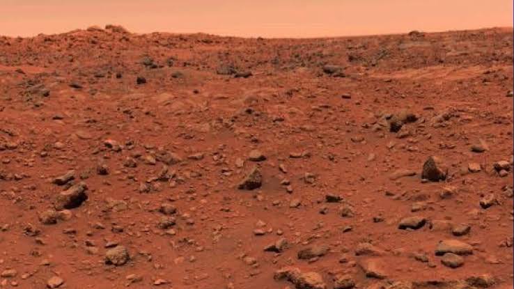 Did Viking 1 find life on Mars 50 years ago? Here's why the debate continues