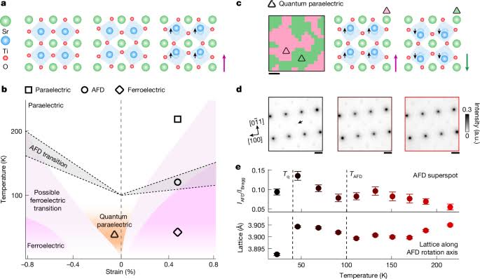 Imaging of nanoscale polar textures in quantum paraelectric SrTiO3
