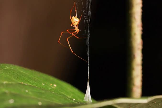 June research roundup: 6 cool science stories we almost missed