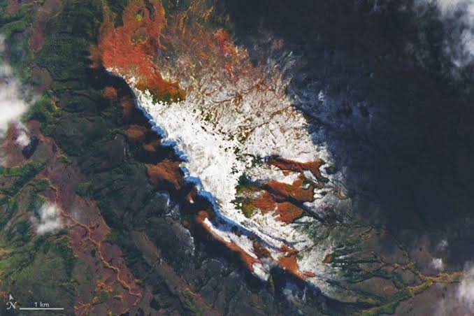 Fiery Fall Color in Southern Chile