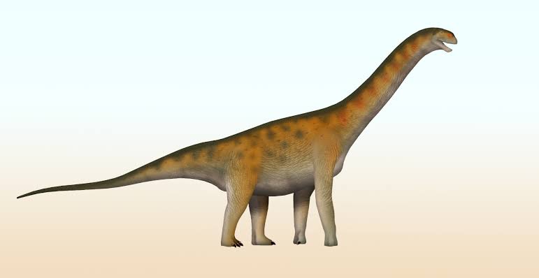 Fossil Find in China Reveals Dinosaur Family Never Before Seen in East Asia