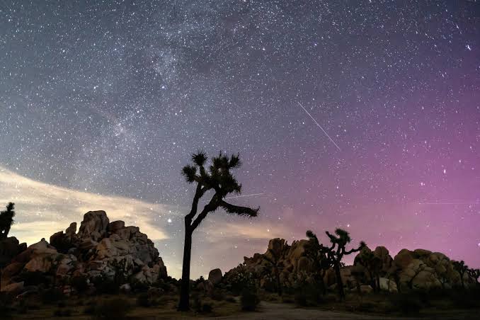 How to see the Perseids meteor shower this summer