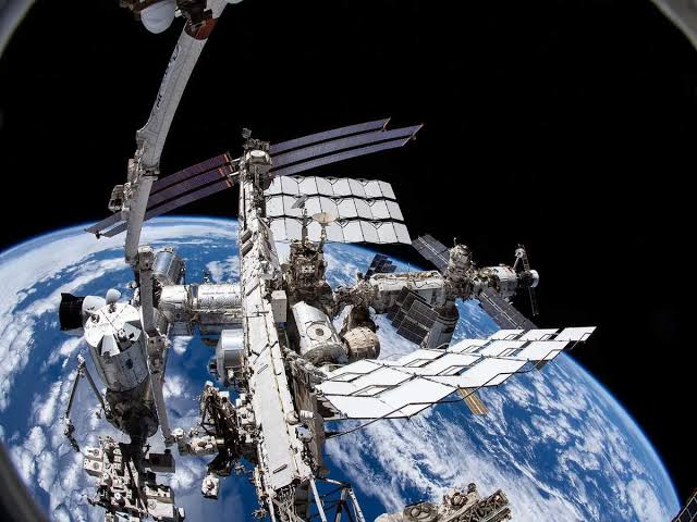 Could space-grown stem cells unlock faster cancer treatments and revolutionize organ regeneration breakthr