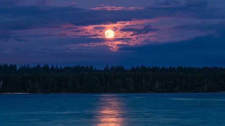 Saturday’s micromoon will be the farthest, smallest and dimmest of the year : NASA