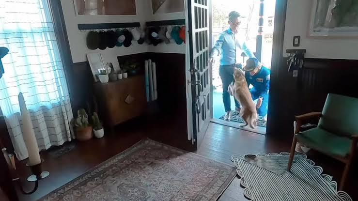 Christina Koch reunites with dog after historic Artemis II mission