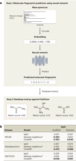 Why machine learning fails at mass spectrometry for small molecules