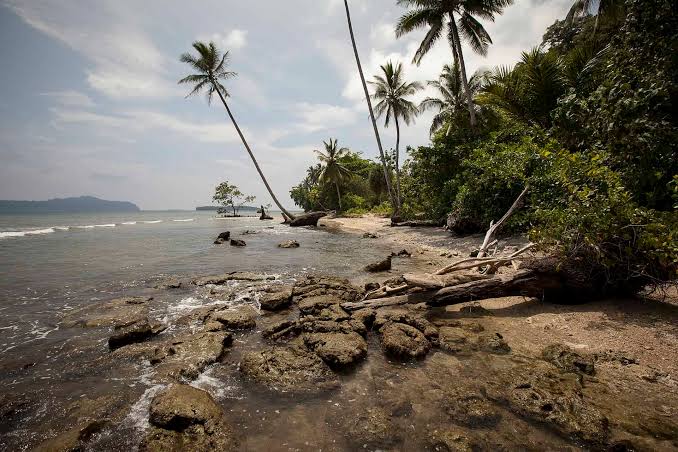 People on These Pacific Islands Have the Most Ancient Genome of All Humans (and a Lot of Denisovan Genes)