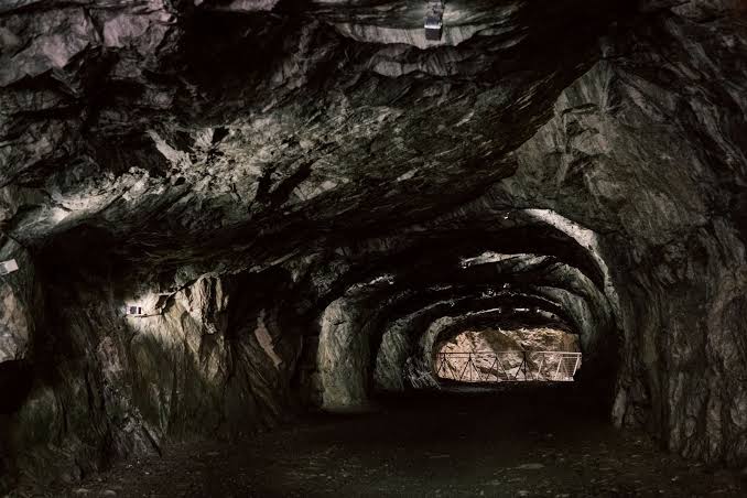 In a cave 18 metres below the surface at Movile in Romania, sealed off from the outside world for 5.5 million years, biologists have found 48 species that live on hydrogen sulphide and have never seen sunlight