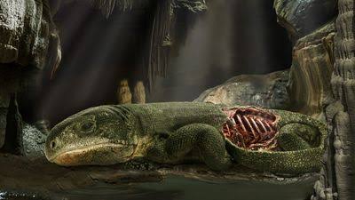 A 289-Million-Year-Old Mummified Reptile From An Oklahoma Cave Shows How We Breathe The Way We Do