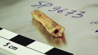 2 Neanderthals present at same Siberian cave 10,000 years apart were distant relatives, 110,000-year-old bone reveals