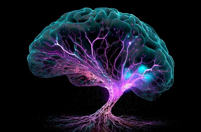 Scientists Investigate ‘Quantum Consciousness’—But the Brain May Still Defy Physics