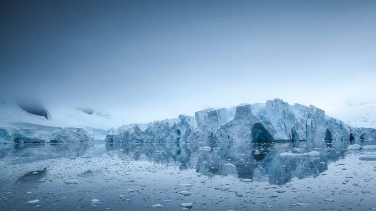 Scientists Revive Extinct Animal Frozen For Almost 50,000 Years